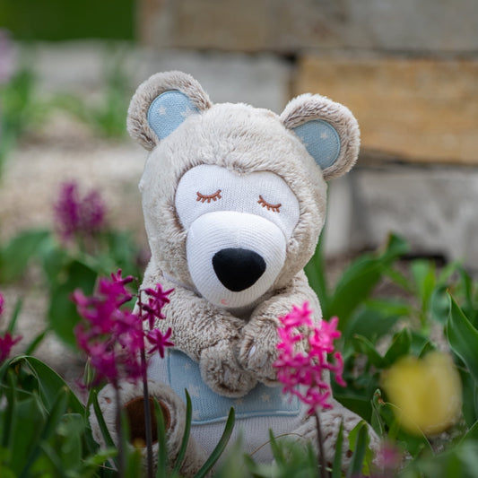 Magnolia The Bear